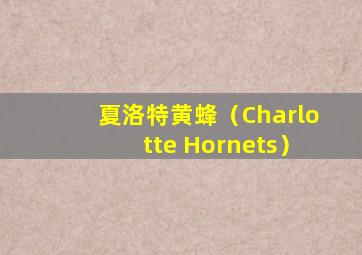 夏洛特黄蜂（Charlotte Hornets）